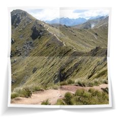 Frank miesbauer Reisecoaching | NEUSEELAND
